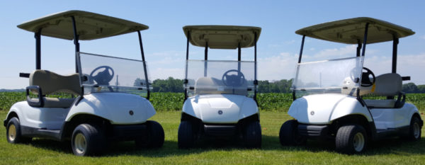 Buckeye Pro Golf Carts - golf cart rental